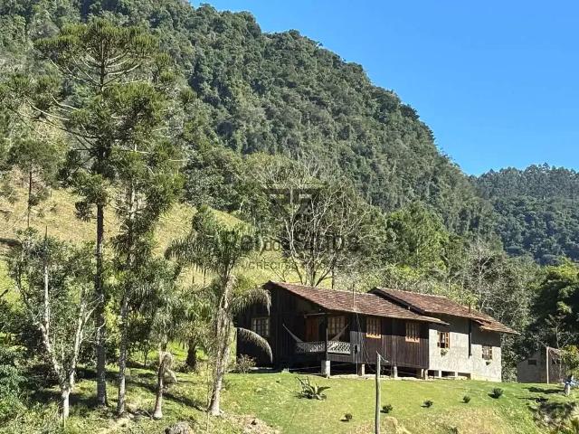 Sítio e chácara venda em Região Geográfica Imediata de Ibirama-Presidente Getúlio, Presidente Getúlio