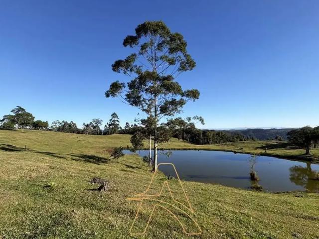 Sítio e chácara venda em Região Geográfica Imediata de Ibirama-Presidente Getúlio, Presidente Getúlio