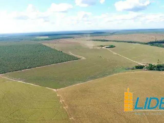 Sítio e chácara venda em Região Geográfica Imediata de Guaraí, Região Norte