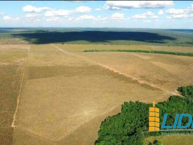 Sítio e chácara venda em Presidente Kennedy, Região Geográfica Intermediária de Araguaína