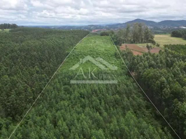 Sítio e chácara venda em Região Geográfica Imediata de Novo Hamburgo - São Leopoldo, Presidente Lucena