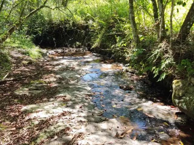 Sítio e chácara venda em Região Geográfica Imediata de Novo Hamburgo - São Leopoldo, Presidente Lucena