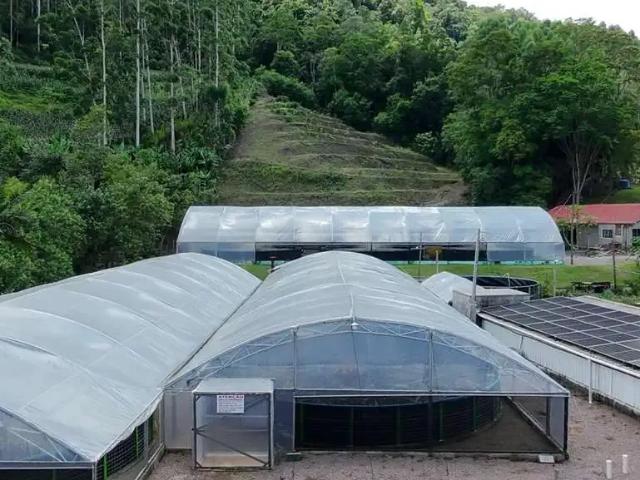 Sítio e chácara venda em Região Geográfica Imediata de Rio do Sul, Presidente Nereu