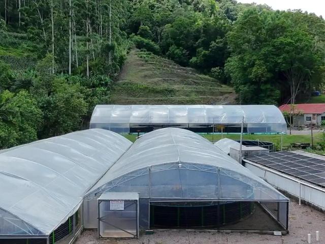 Sítio e chácara venda em Presidente Nereu, Região Geográfica Intermediária de Blumenau