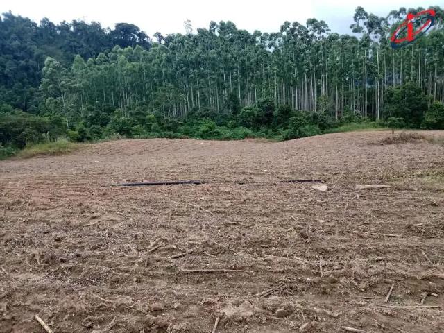 Sítio e chácara venda em Região Geográfica Imediata de Rio do Sul, Presidente Nereu