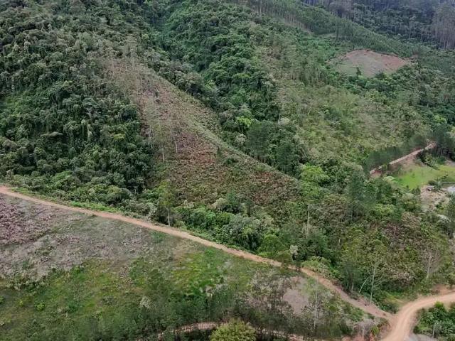 Sítio e chácara venda em Região Geográfica Imediata de Rio do Sul, Presidente Nereu