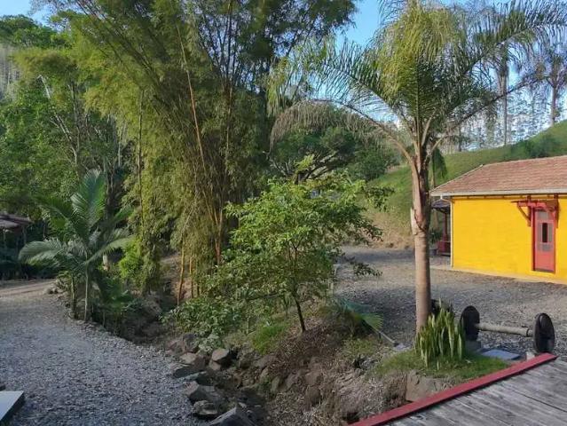 Sítio e chácara venda em Região Geográfica Imediata de Rio do Sul, Presidente Nereu