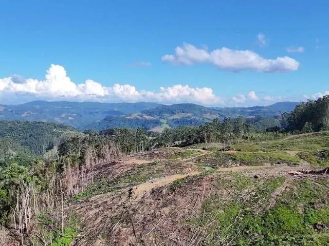 Sítio e chácara venda em Região Geográfica Imediata de Rio do Sul, Presidente Nereu