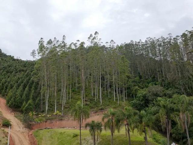 Sítio e chácara venda em Presidente Nereu, Região Geográfica Intermediária de Blumenau
