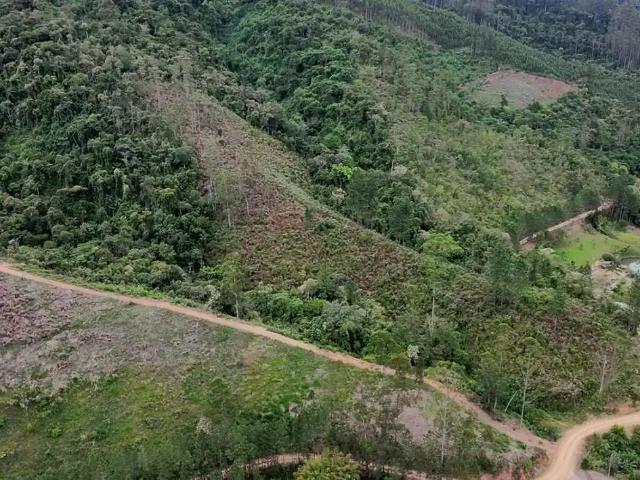 Sítio e chácara venda em Região Geográfica Imediata de Rio do Sul, Presidente Nereu