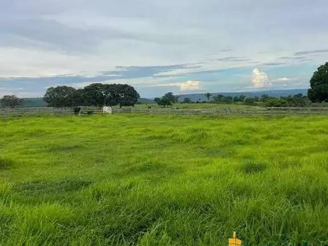 Sítio e chácara venda em Região Geográfica Imediata de Patos de Minas, Presidente Olegário