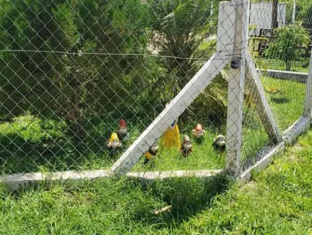 Sítio e chácara venda em Região Imediata de Presidente Prudente, Presidente Prudente