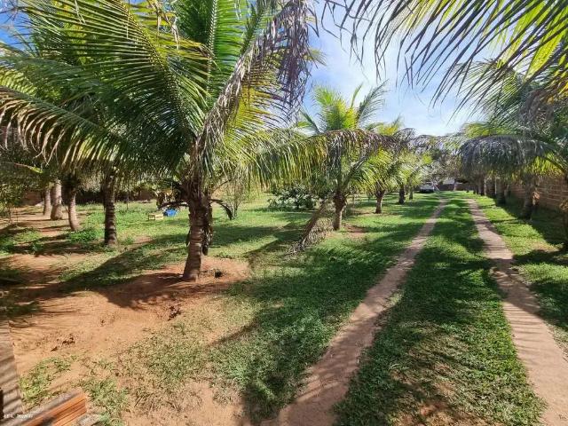 Sítio e chácara venda em Região Imediata de Presidente Prudente, Presidente Prudente