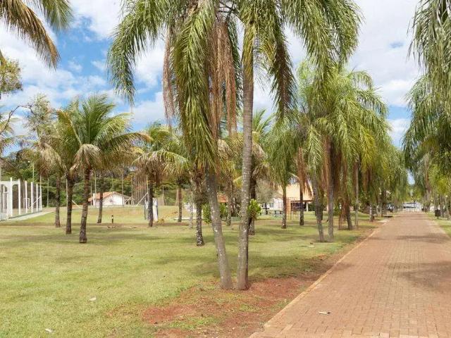 Sítio e chácara venda em Região Geográfica Imediata de Londrina, Primeiro de Maio