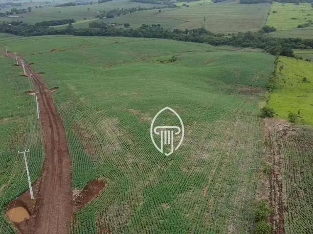Sítio e chácara venda em Região Geográfica Imediata de Londrina, Primeiro de Maio