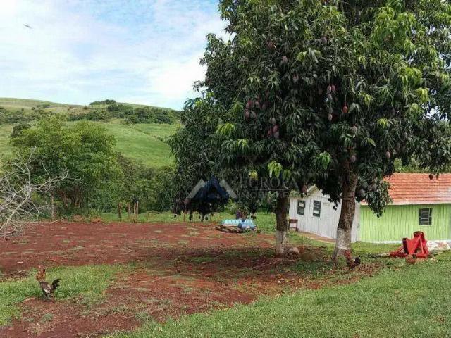 Sítio e chácara venda em Região Geográfica Imediata de Londrina, Primeiro de Maio