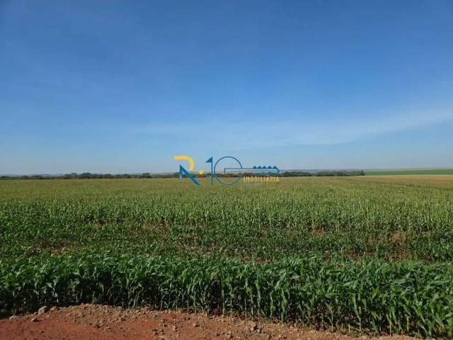 Sítio e chácara venda em Região Geográfica Imediata de Londrina, Primeiro de Maio