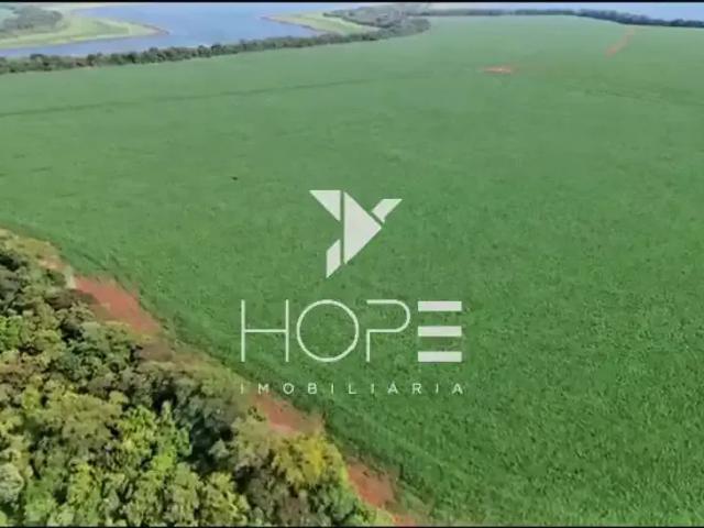 Sítio e chácara venda em Região Geográfica Imediata de Londrina, Primeiro de Maio