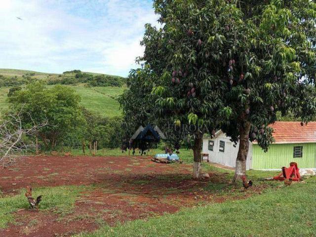 Sítio e chácara venda em Ibiaci, Primeiro de Maio