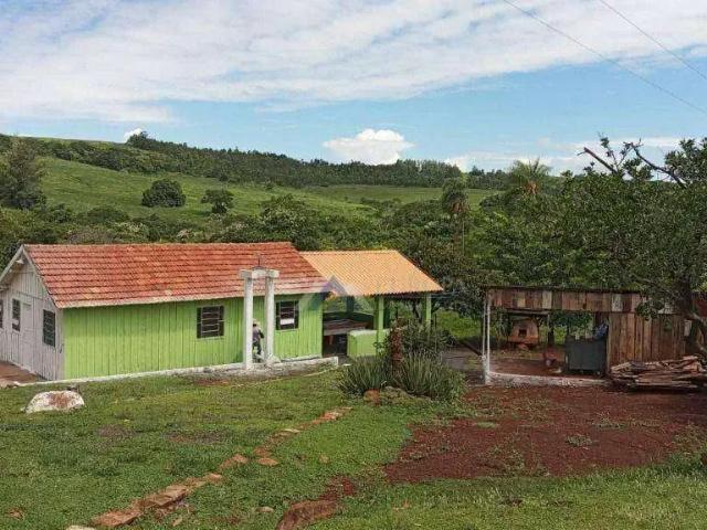 Sítio e chácara venda em Região Geográfica Imediata de Londrina, Primeiro de Maio