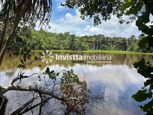 Sítio e chácara venda em Região Geográfica Imediata de Paraíso do Tocantins, Região Norte