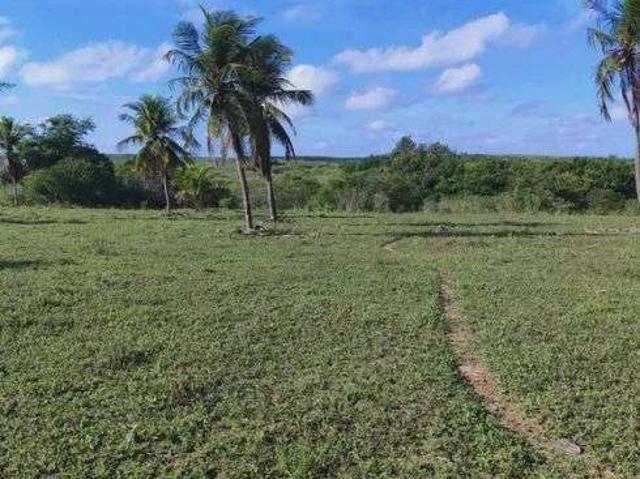Sítio e chácara venda em Vila Virgínia, Itaquaquecetuba
