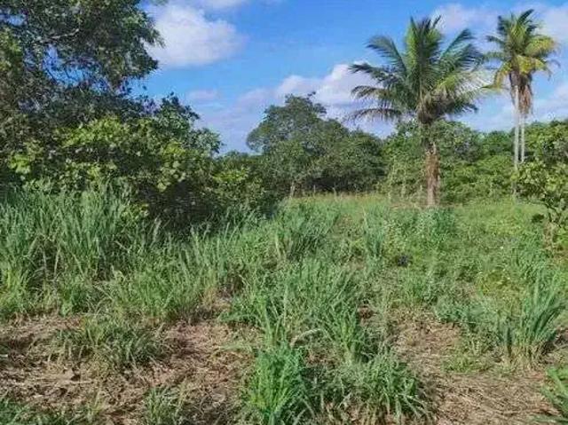 Sítio e chácara venda em Região Imediata de São Paulo, Região Metropolitana de São Paulo