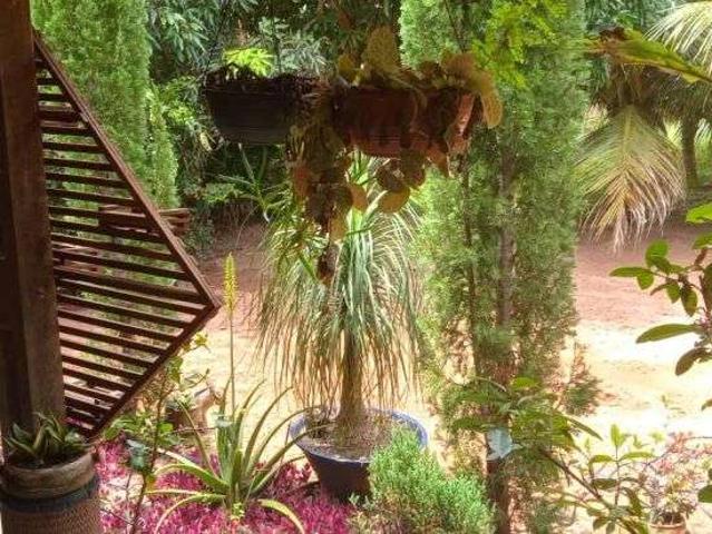 Sítio e chácara venda em Vila Virgínia, Itaquaquecetuba
