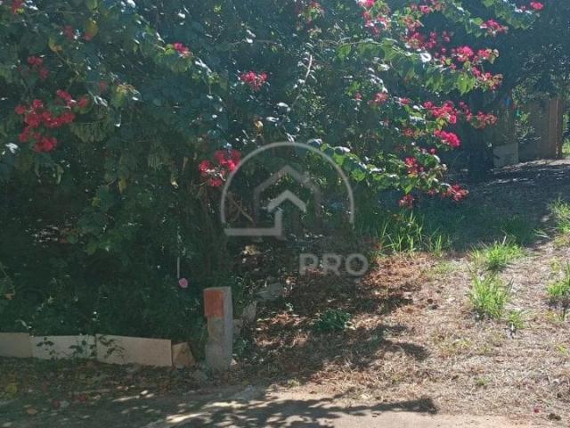 Sítio e chácara venda em Centro, Quadra