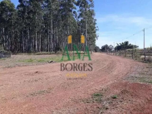 Sítio e chácara venda em Região Imediata de São José do Rio Preto, Região Metropolitana de São José do Rio Preto
