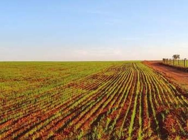 Sítio e chácara venda em Região Imediata de São José do Rio Preto, Região Metropolitana de São José do Rio Preto