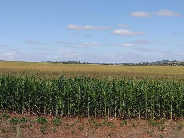 Sitio venda em Quadra, Parque Imperador