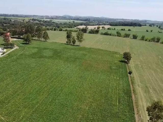 Sítio e chácara venda em Região Imediata de Presidente Prudente, Mirante do Paranapanema