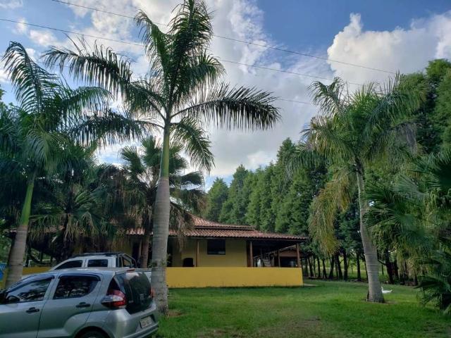 Sitio venda em Quadra, Mogi Mirim
