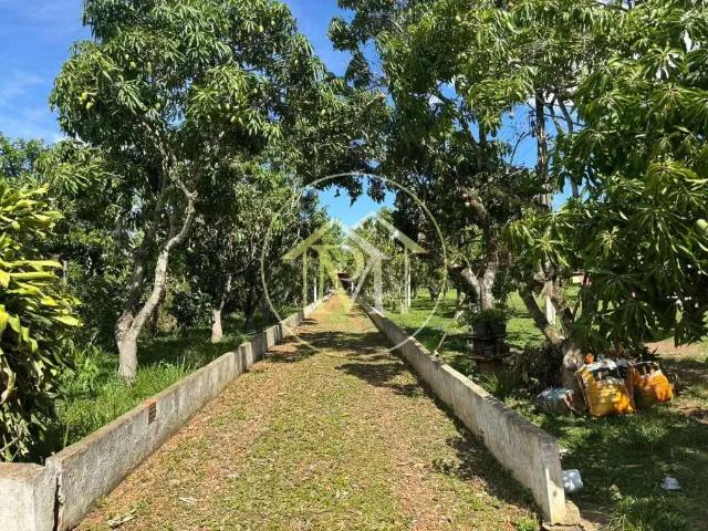 Sítio e chácara venda em Região Imediata de São José do Rio Preto, Região Metropolitana de São José do Rio Preto