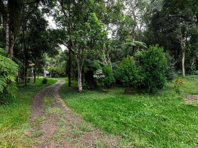 Sítio e chácara venda em Região Geográfica Imediata de Curitiba, Região Metropolitana de Curitiba