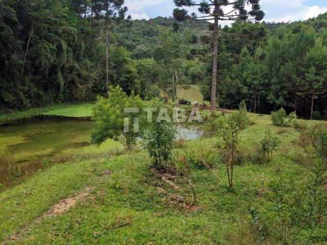 Sítio e chácara venda em Região Geográfica Imediata de Curitiba, Região Metropolitana de Curitiba