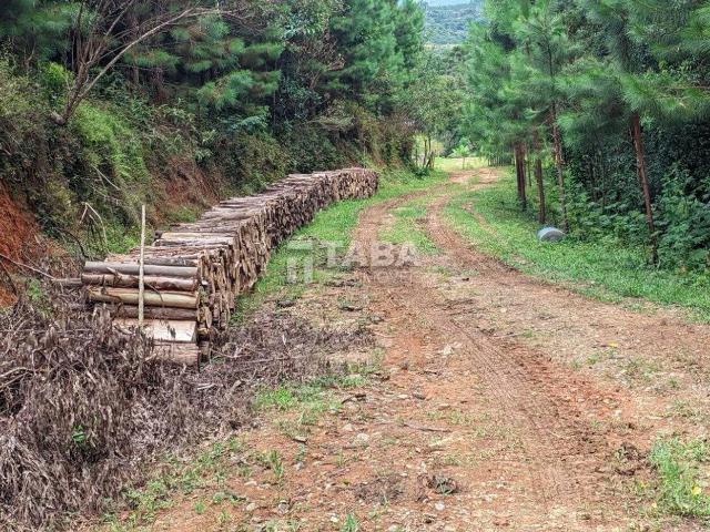 Sítio e chácara venda em Região Geográfica Imediata de Curitiba, Região Metropolitana de Curitiba