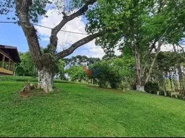 Sítio e chácara venda em Região Geográfica Imediata de Curitiba, Região Metropolitana de Curitiba