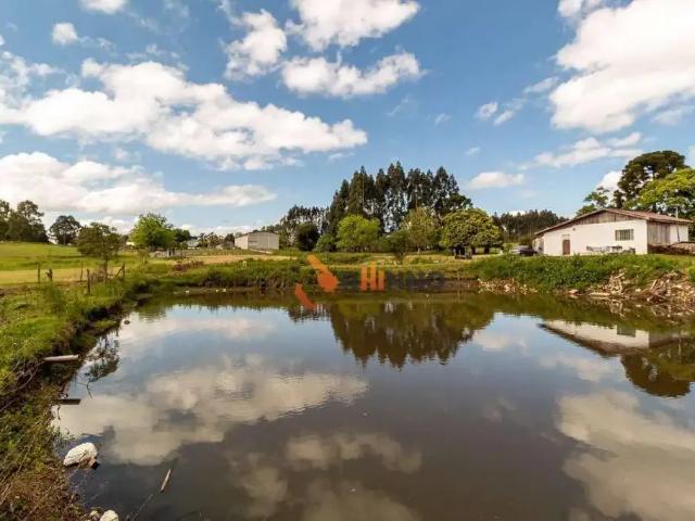 Sítio e chácara venda em Região Geográfica Imediata de Curitiba, Região Metropolitana de Curitiba