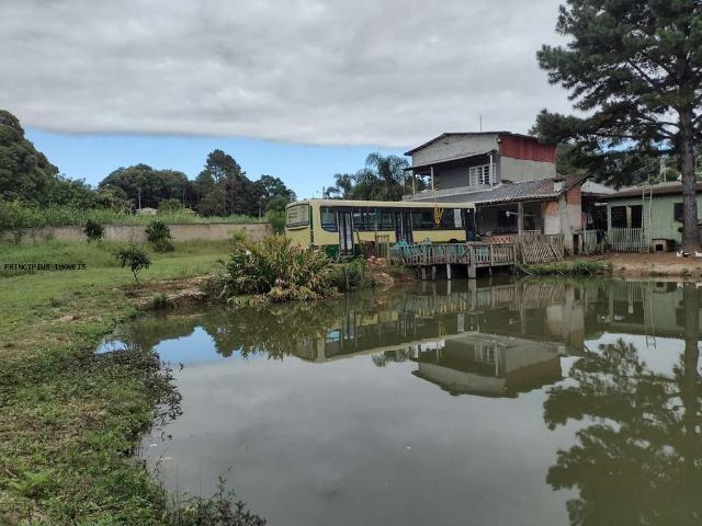 Sítio e chácara venda em Região Geográfica Imediata de Curitiba, Região Metropolitana de Curitiba
