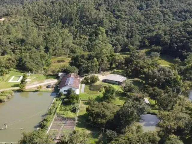 Sítio e chácara venda em Região Geográfica Imediata de Curitiba, Região Metropolitana de Curitiba