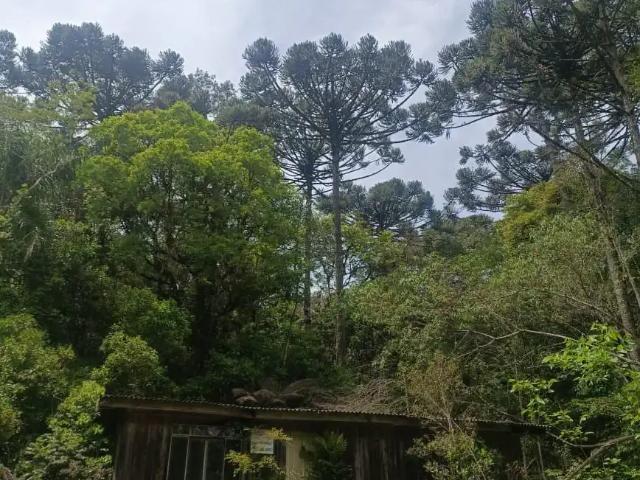 Sítio e chácara venda em Região Geográfica Imediata de Curitiba, Região Metropolitana de Curitiba