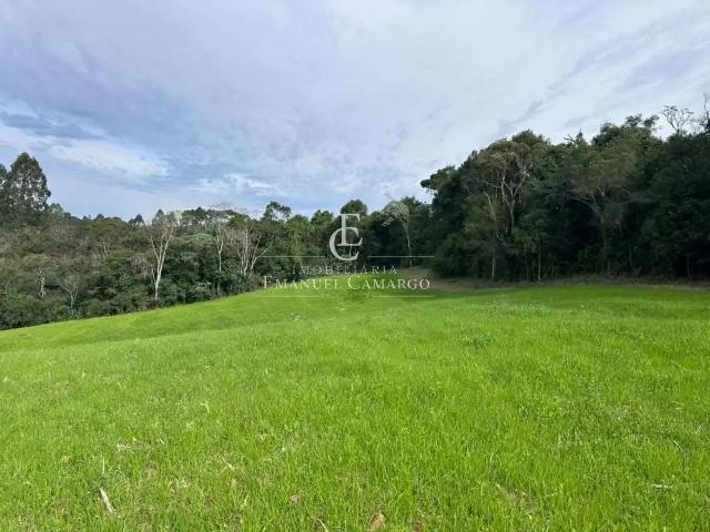 Sítio e chácara venda em Região Geográfica Imediata de Curitiba, Região Metropolitana de Curitiba