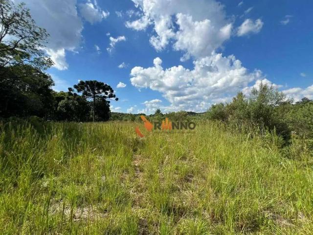 Sítio e chácara venda em Região Geográfica Imediata de Cascavel, Três Barras do Paraná