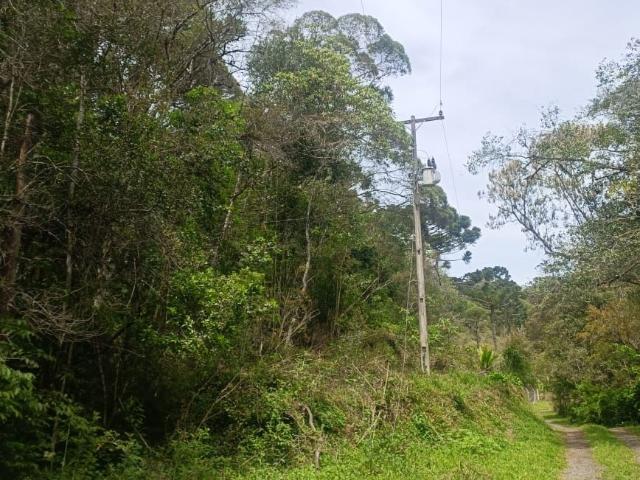 Sítio e chácara venda em Região Geográfica Imediata de Curitiba, Região Metropolitana de Curitiba
