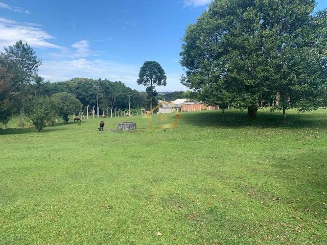 Sítio e chácara venda em Região Geográfica Imediata de Curitiba, Região Metropolitana de Curitiba