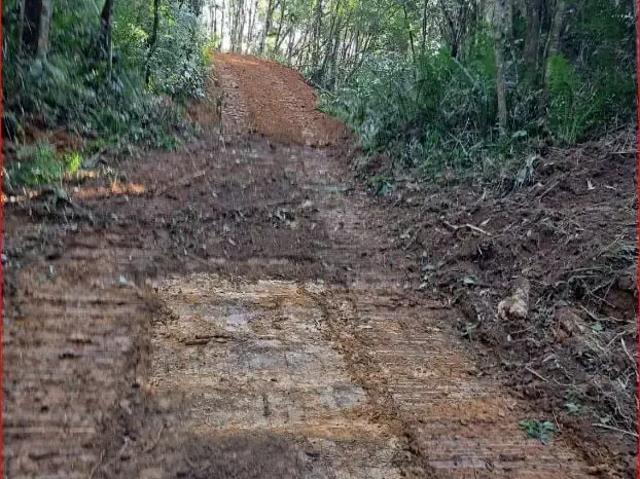 Sítio e chácara venda em Região Geográfica Imediata de Curitiba, Região Metropolitana de Curitiba