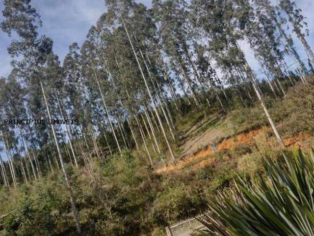 Sítio e chácara venda em Região Geográfica Imediata de Curitiba, Região Metropolitana de Curitiba