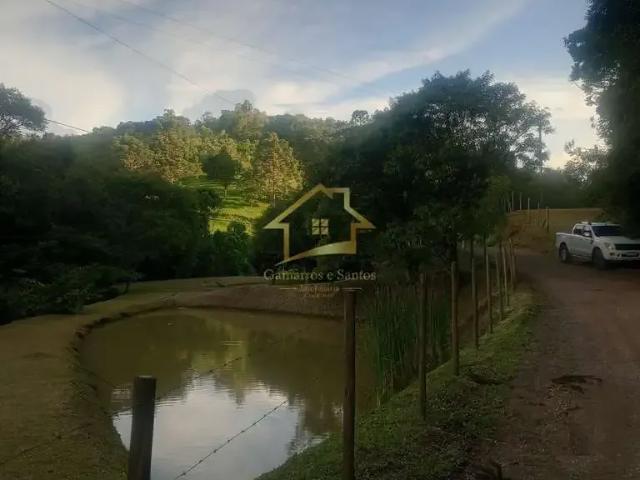 Sítio e chácara venda em Região Geográfica Imediata de Curitiba, Região Metropolitana de Curitiba